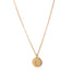 Gold Tiny Initial Disc Coin pendant necklace hanging from gold chain - Blooming Lotus Jewelry