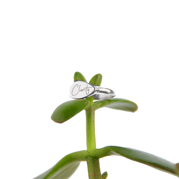 Mantra Signet Ring engraved with Clarity sitting on top of a succulent leaf