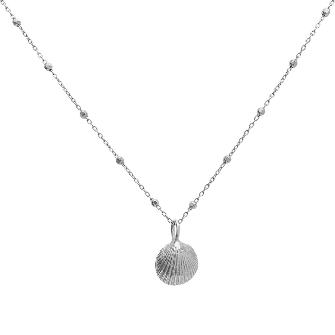 Small recycled sterling silver seashell necklace on a delicate satellite chain – Blooming Lotus Jewelry