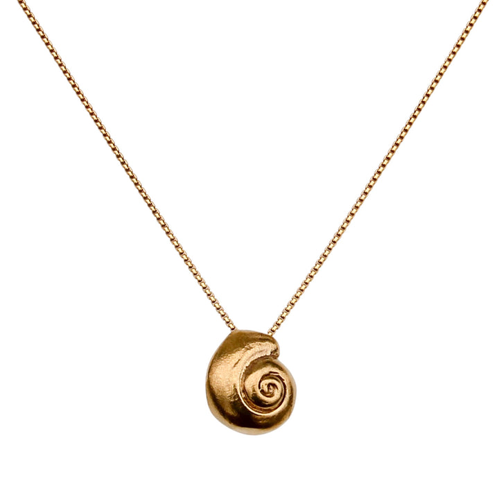 Gold spiral shell necklace with textured pendant on a delicate gold chain, inspired by a real seashell and photographed on a white background.
