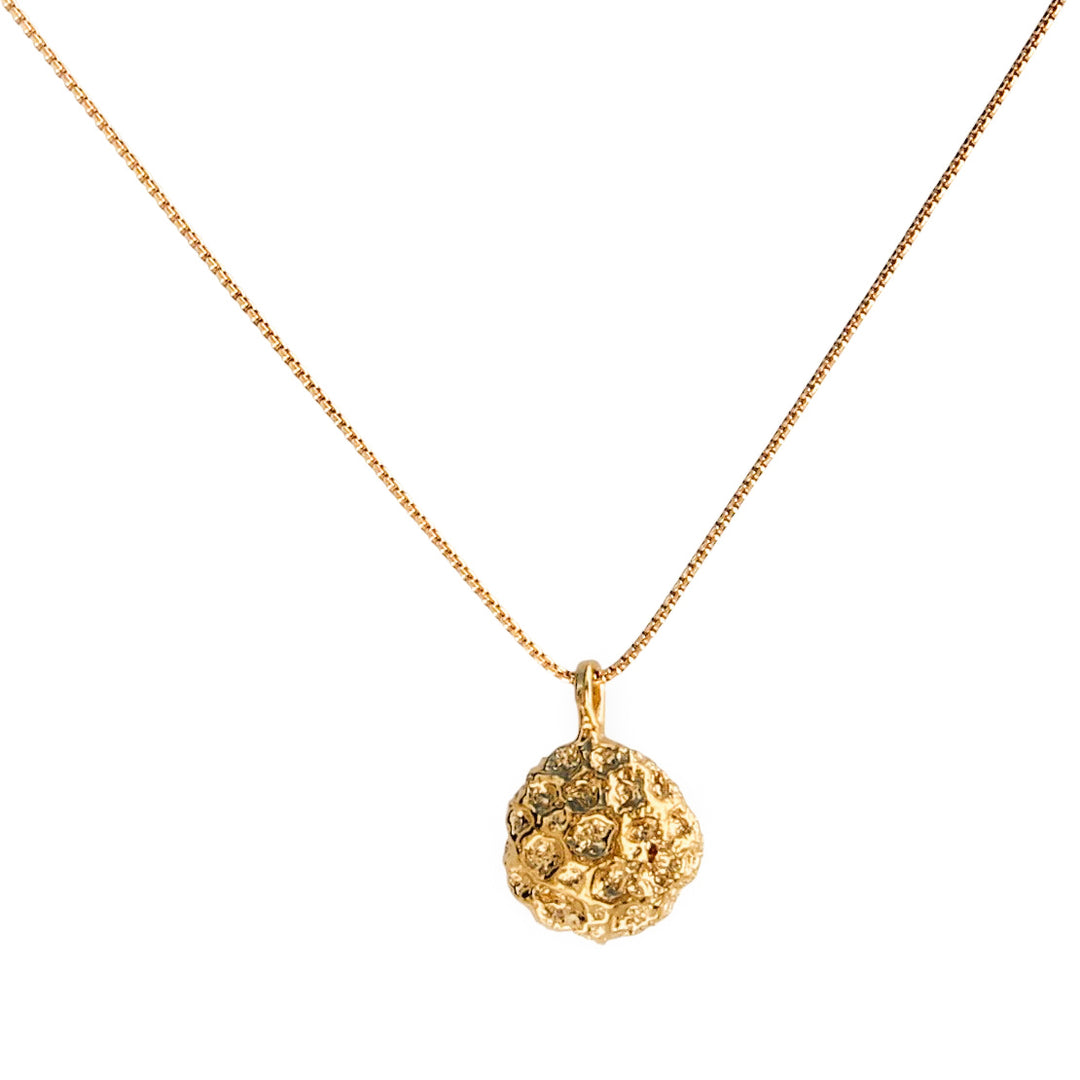 Product image of the Golden Bloom Coral necklace, featuring a textured coral pendant cast in gold, hanging from a delicate gold chain on a white background. The charm highlights the intricate details of a real piece of coral, capturing its natural beauty.