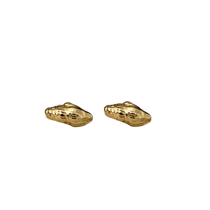 Pair of tiny gold shell stud earrings cast from a real seashell, shown on white background. 