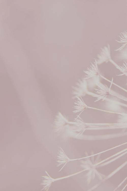 view all button with mauve background with tiny flowers